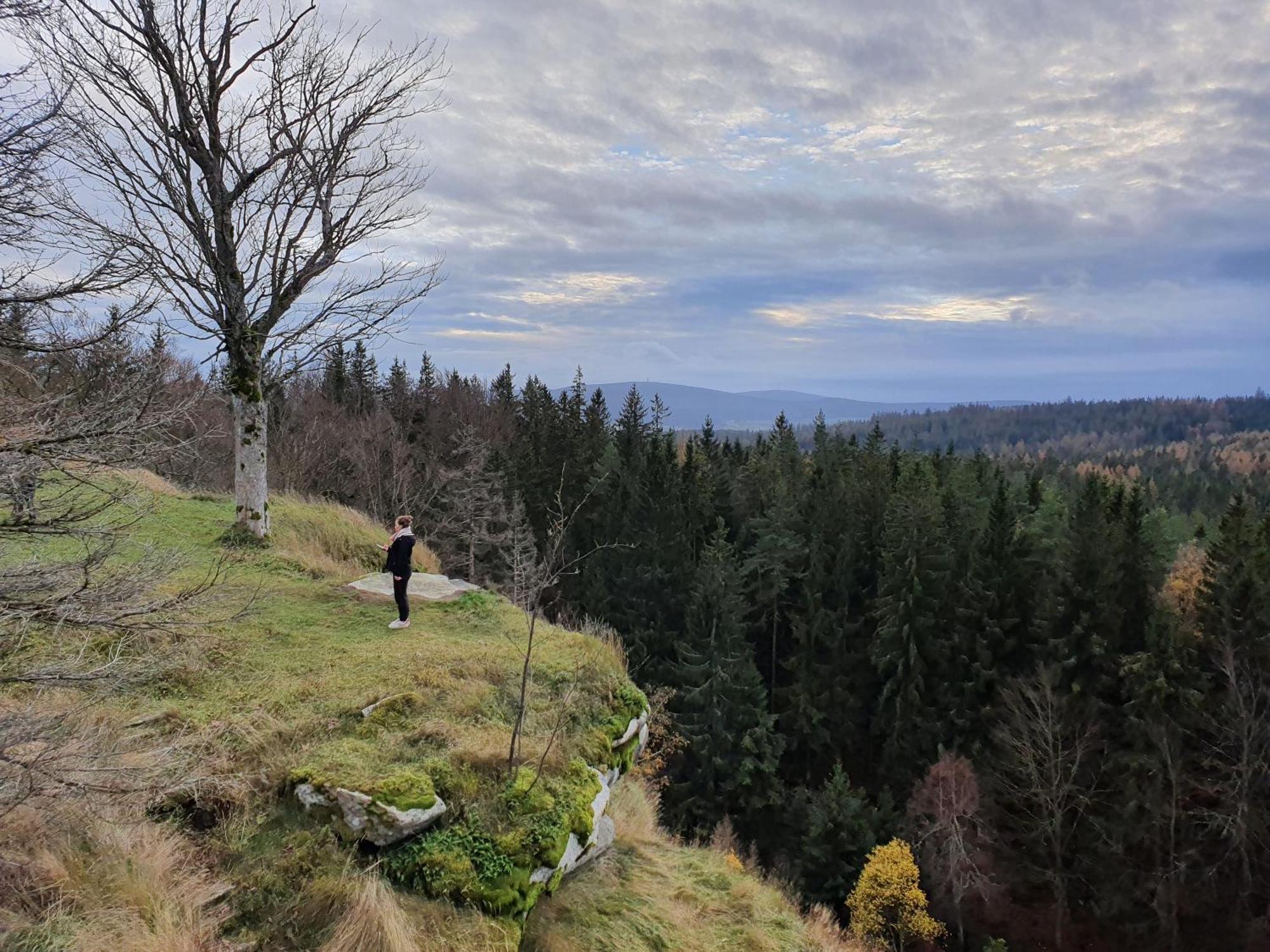 Ferienhaus Rosengarten Villa Selb Exteriör bild